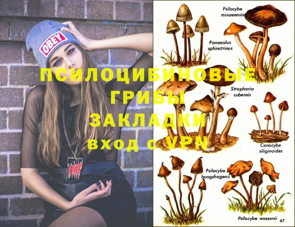 PSILOCYBIN Алексин