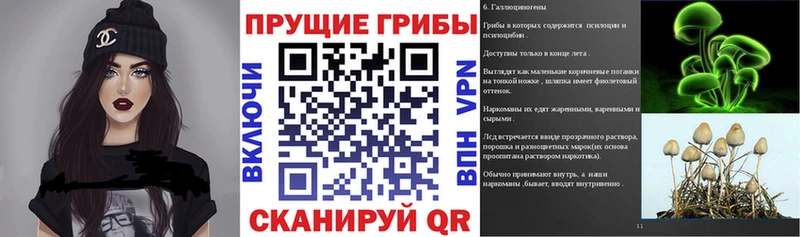 как найти закладки  Лагань  Псилоцибиновые грибы Magic Shrooms 